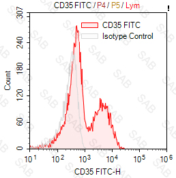 FITC anti-human CD35