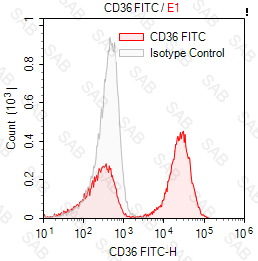 FITC anti-human CD36