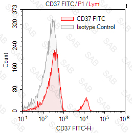 FITC anti-human CD37