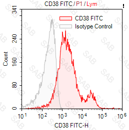 FITC anti-human CD38