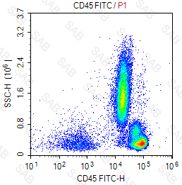 FITC anti-human CD45