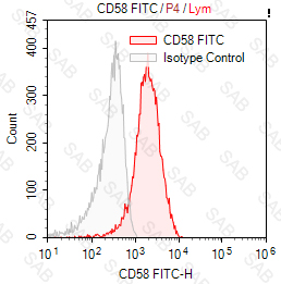 FITC anti-human CD58