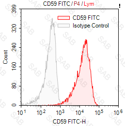 FITC anti-human CD59