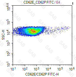 FITC anti-human/pig CD62E/CD62P