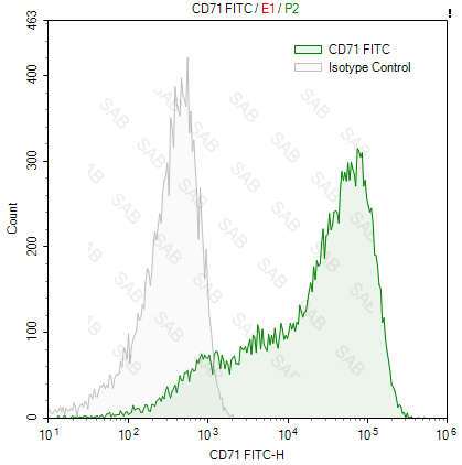 FITC anti-human CD71