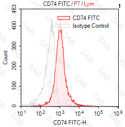 FITC anti-human CD74