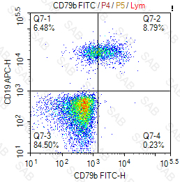 FITC anti-human CD79b