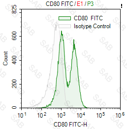 FITC anti-human CD80