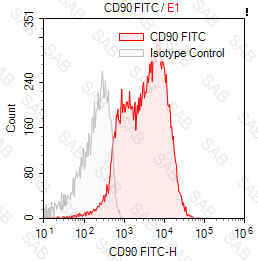 FITC anti-human CD90