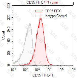 FITC anti-human CD95