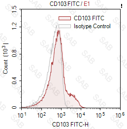 FITC anti-human CD103