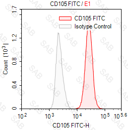 FITC anti-human CD105