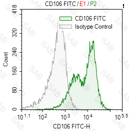 FITC anti-human CD106