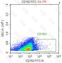 FITC anti-human CD152