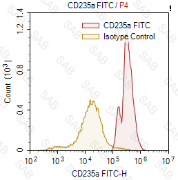 FITC anti-human CD235a