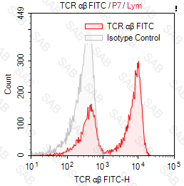 FITC anti-human TCR α/β