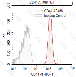 Alexa Fluor 488 anti-human CD41