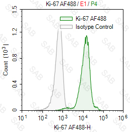 Alexa Fluor 488 anti-human Ki-67