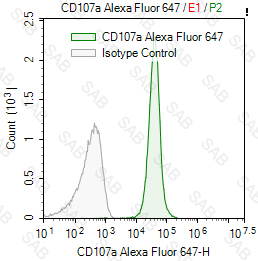 Alexa Fluor 647 anti-human CD107a