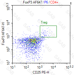 Alexa Fluor 647 anti-human FOXP3