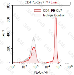 PE-Cy7 anti-human CD4