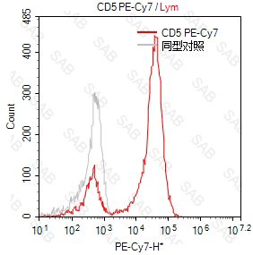 PE-Cy7 anti-human CD5