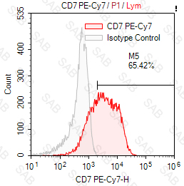 PE-Cy7 anti-human CD7