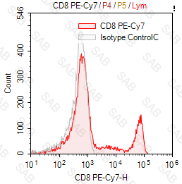 PE-Cy7 anti-human CD8