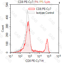 PE-Cy7 anti-human CD8