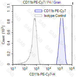 PE-Cy7 anti-human CD11b