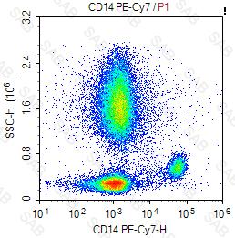 PE-Cy7 anti-human CD14