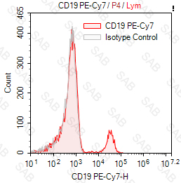 PE-Cy7 anti-human CD19