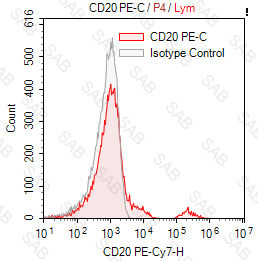 PE-Cy7 anti-human CD20