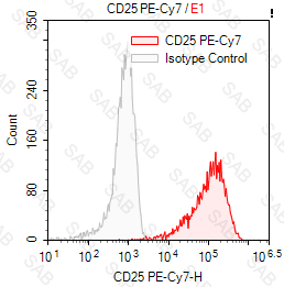 PE-Cy7 anti-human CD25