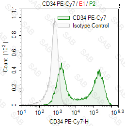 PE-Cy7 anti-human CD34