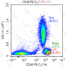 PE-Cy7 anti-human CD45