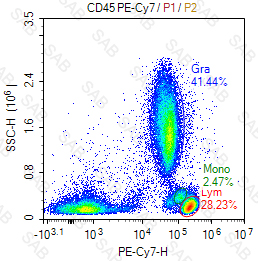 PE-Cy7 anti-human CD45