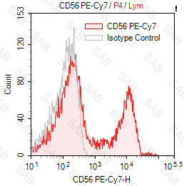 PE-Cy7 anti-human CD56