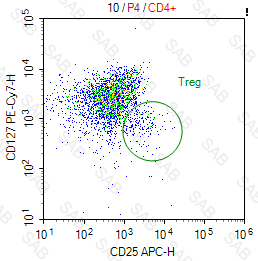 PE-Cy7 anti-human CD127