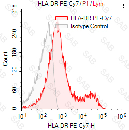 PE-Cy7 anti-human HLA-DR