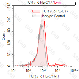 PE-Cy7 anti-human TCR γ/δ