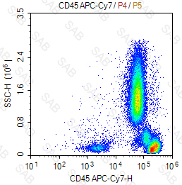 APC-Cy7 anti-human CD45