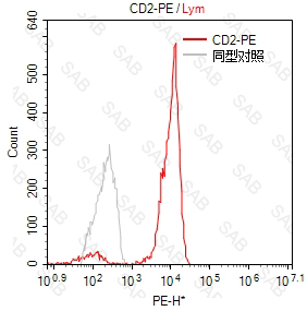 PE anti-human CD2