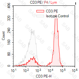 PE anti-human CD3