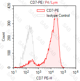 PE anti-human CD7