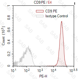 PE anti-human CD9