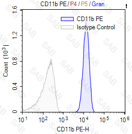 PE anti-human/mouse CD11b