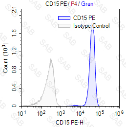 PE anti-human CD15