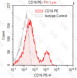 PE anti-human CD16