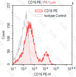 PE anti-human CD16